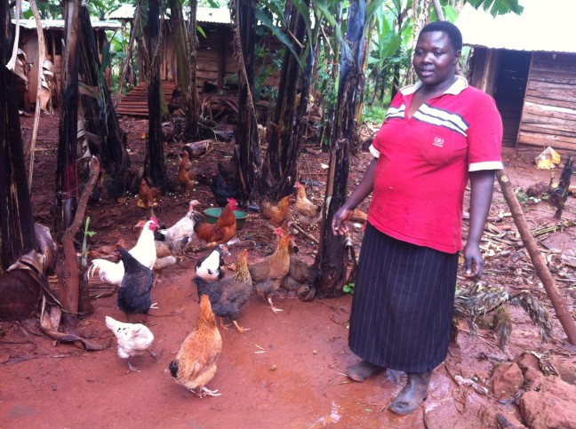 Joan chelangat and chickens